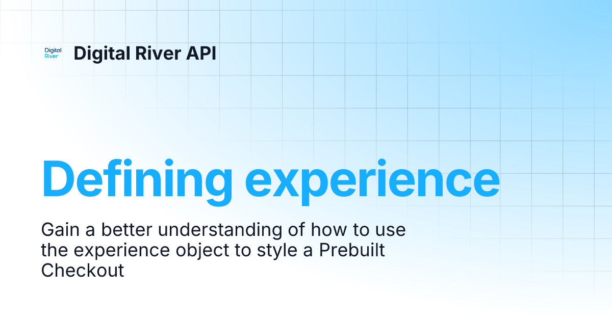 Defining Experience Digital River Api